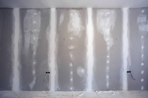 Best Asbestos and Lead Testing During Mold Inspection  in Sleepy Hollow, WY